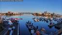 ./images/victoria/wharf/20260404/wharf20260404_074501M.jpg