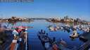 ./images/victoria/wharf/20260404/wharf20260404_081001M.jpg
