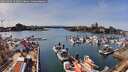 ./images/victoria/wharf/20260404/wharf20260404_152001M.jpg