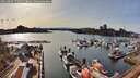 ./images/victoria/wharf/20260404/wharf20260404_170501M.jpg