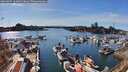 ./images/victoria/wharf/20260405/wharf20260405_164001M.jpg
