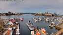 ./images/victoria/wharf/20260406/wharf20260406_115001M.jpg