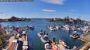 ./images/victoria/wharf/20260406/wharf20260406_145502M.jpg