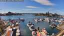 ./images/victoria/wharf/20260406/wharf20260406_150501M.jpg