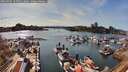 ./images/victoria/wharf/20260407/wharf20260407_165501M.jpg