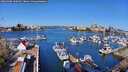 ./images/victoria/wharf/20260408/wharf20260408_100001M.jpg