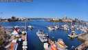 ./images/victoria/wharf/20260408/wharf20260408_110501M.jpg