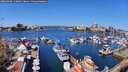 ./images/victoria/wharf/20260408/wharf20260408_112001M.jpg