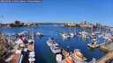./images/victoria/wharf/20260408/wharf20260408_114001M.jpg