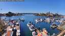 ./images/victoria/wharf/20260408/wharf20260408_135501M.jpg