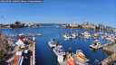 ./images/victoria/wharf/20260409/wharf20260409_110002M.jpg