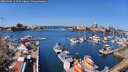 ./images/victoria/wharf/20260409/wharf20260409_113501M.jpg