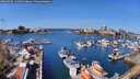 ./images/victoria/wharf/20260409/wharf20260409_114501M.jpg