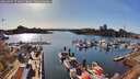 ./images/victoria/wharf/20260409/wharf20260409_172001M.jpg