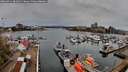 ./images/victoria/wharf/20260411/wharf20260411_081001M.jpg