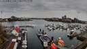./images/victoria/wharf/20260411/wharf20260411_133001M.jpg