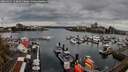 ./images/victoria/wharf/20260411/wharf20260411_143001M.jpg