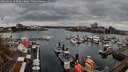./images/victoria/wharf/20260411/wharf20260411_143501M.jpg