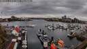 ./images/victoria/wharf/20260411/wharf20260411_145001M.jpg