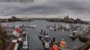 ./images/victoria/wharf/20260411/wharf20260411_151002M.jpg