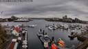 ./images/victoria/wharf/20260411/wharf20260411_152501M.jpg
