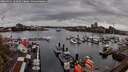 ./images/victoria/wharf/20260411/wharf20260411_161001M.jpg