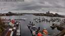 ./images/victoria/wharf/20260411/wharf20260411_161501M.jpg