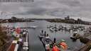 ./images/victoria/wharf/20260411/wharf20260411_162501M.jpg