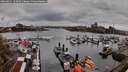 ./images/victoria/wharf/20260411/wharf20260411_163001M.jpg