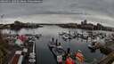 ./images/victoria/wharf/20260411/wharf20260411_180501M.jpg