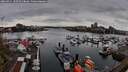 ./images/victoria/wharf/20260411/wharf20260411_182501M.jpg