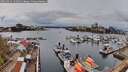 ./images/victoria/wharf/20260412/wharf20260412_132501M.jpg