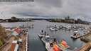 ./images/victoria/wharf/20260412/wharf20260412_140001M.jpg