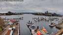 ./images/victoria/wharf/20260412/wharf20260412_145002M.jpg
