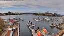 ./images/victoria/wharf/20260413/wharf20260413_135501M.jpg