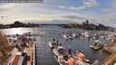 ./images/victoria/wharf/20260413/wharf20260413_163501M.jpg