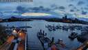 ./images/victoria/wharf/20260413/wharf20260413_201501M.jpg