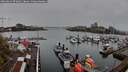 ./images/victoria/wharf/20260414/wharf20260414_072001M.jpg