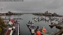 ./images/victoria/wharf/20260414/wharf20260414_092001M.jpg