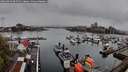 ./images/victoria/wharf/20260414/wharf20260414_095501M.jpg