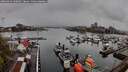./images/victoria/wharf/20260414/wharf20260414_100001M.jpg