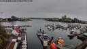./images/victoria/wharf/20260414/wharf20260414_112501M.jpg
