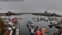 ./images/victoria/wharf/20260414/wharf20260414_113501M.jpg