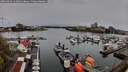./images/victoria/wharf/20260414/wharf20260414_121001M.jpg