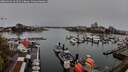 ./images/victoria/wharf/20260414/wharf20260414_164501M.jpg