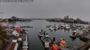 ./images/victoria/wharf/20260414/wharf20260414_171501M.jpg