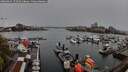 ./images/victoria/wharf/20260414/wharf20260414_172501M.jpg
