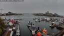 ./images/victoria/wharf/20260414/wharf20260414_181501M.jpg