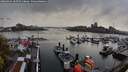./images/victoria/wharf/20260414/wharf20260414_185501M.jpg