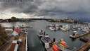 ./images/victoria/wharf/20260415/wharf20260415_164501M.jpg